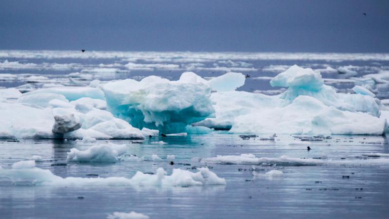 zu unserer Geschichte Gefangen im arktischen Eis