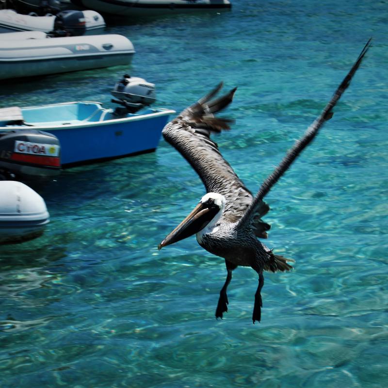 fotogallerie