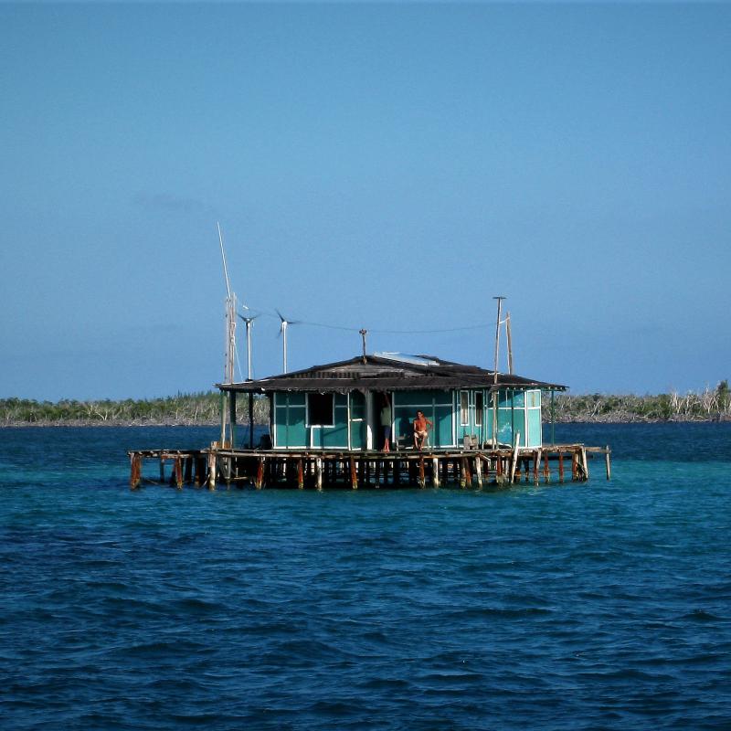 fotogallerie