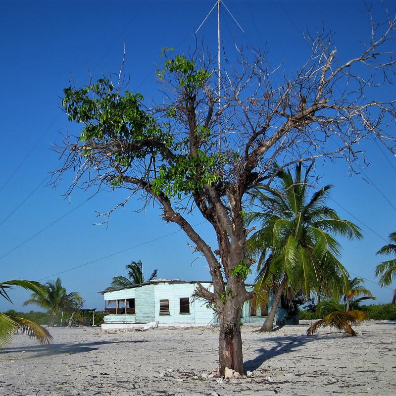 fotogallerie