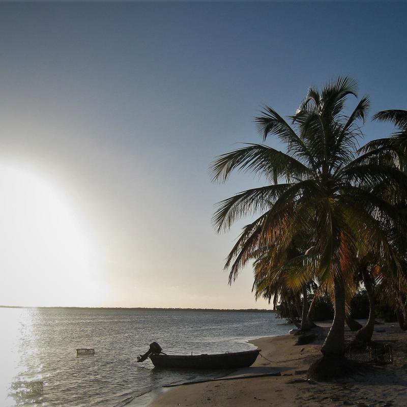 fotogallerie