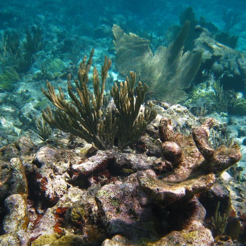 fotogallerie