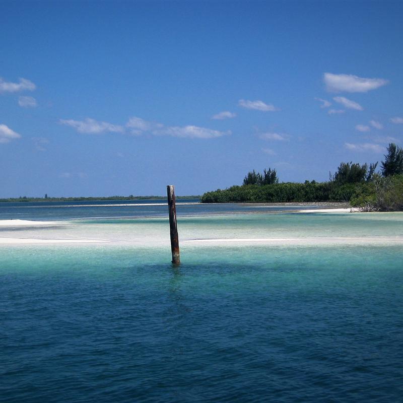 fotogallerie
