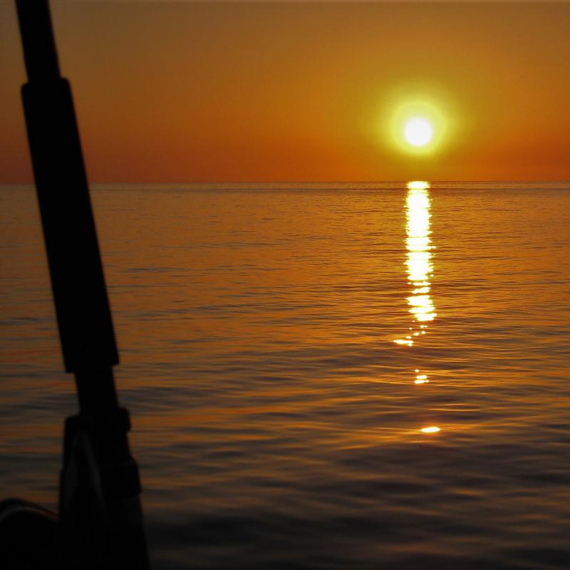 fotogallerie