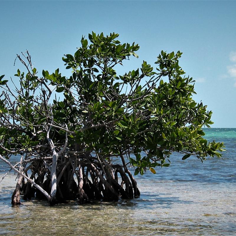fotogallerie