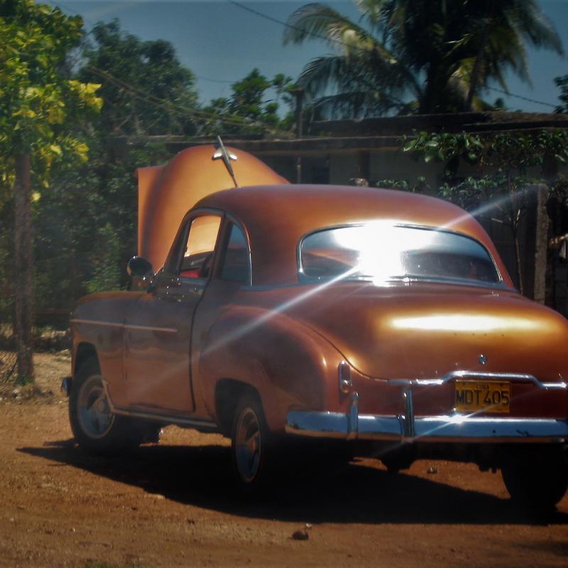 fotogallerie