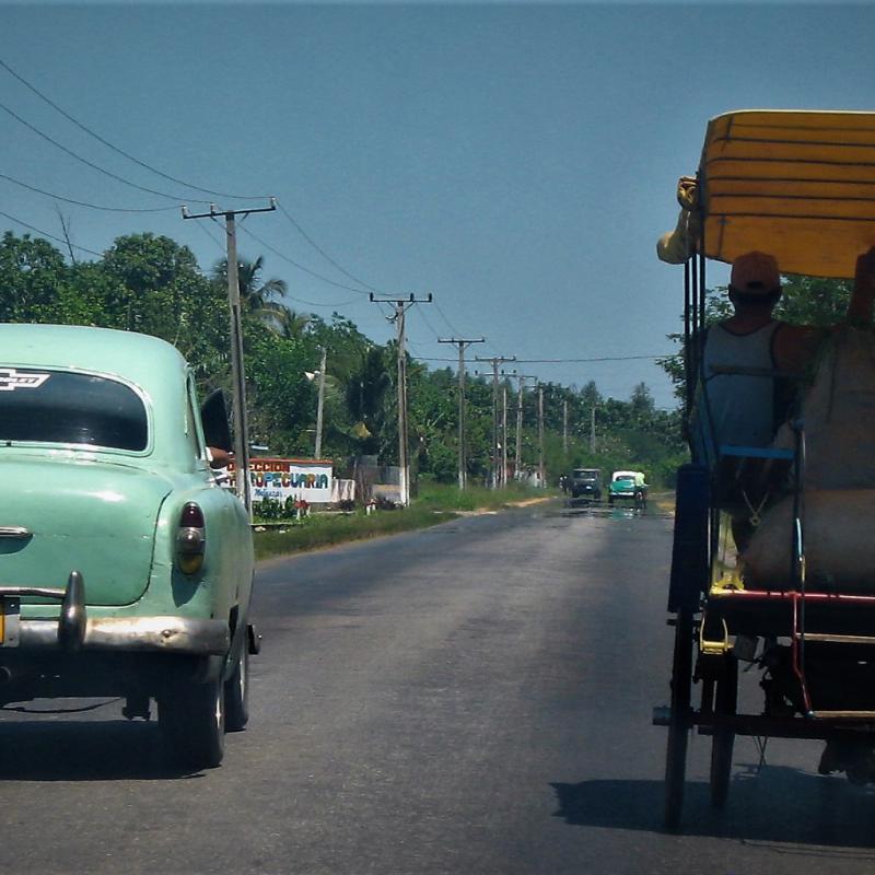 fotogallerie