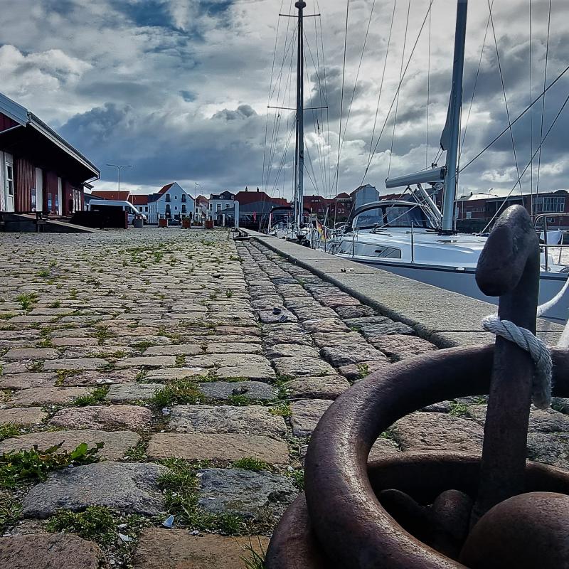 fotogallerie