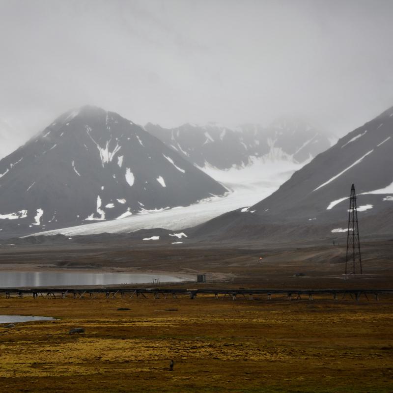 fotogallerie