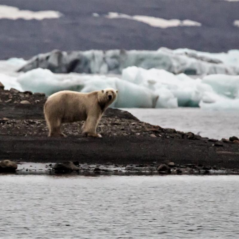 Bildergallerie Expedition Arktis Spitzbergen 2015