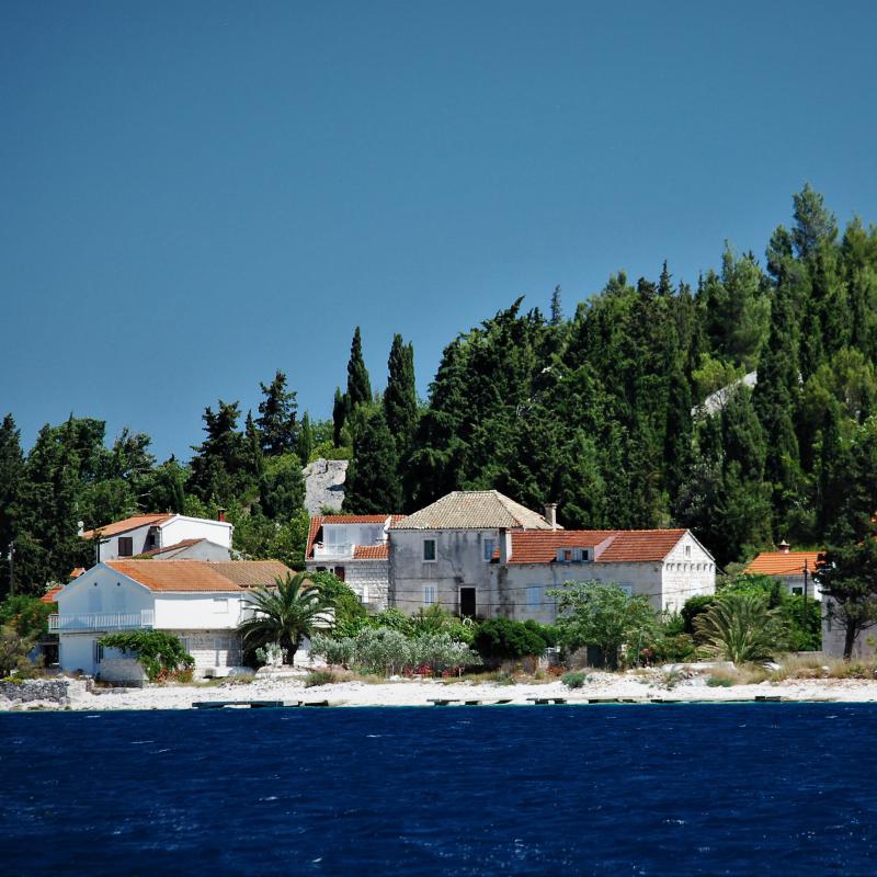 fotogallerie