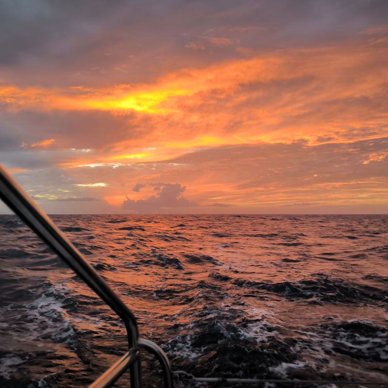 fotogallerie