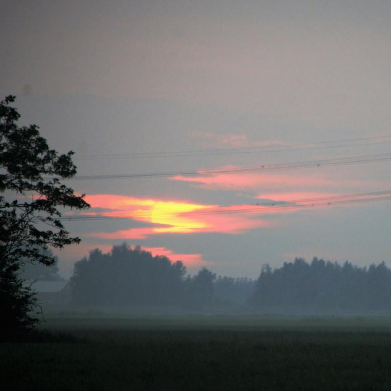 fotogallerie