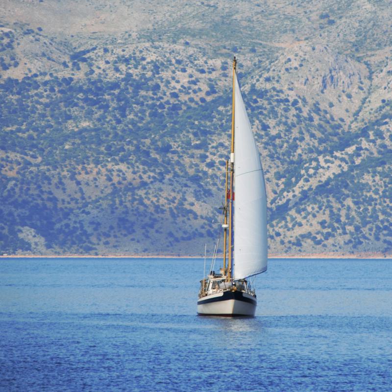 fotogallerie