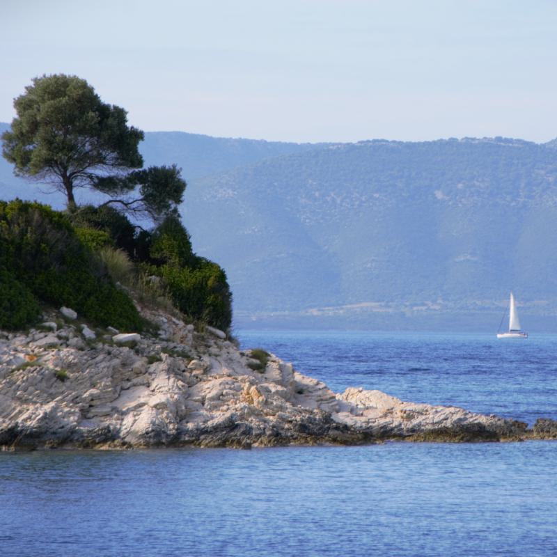 fotogallerie