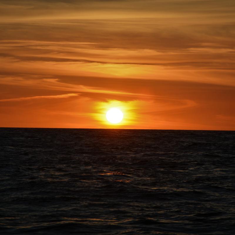 fotogallerie