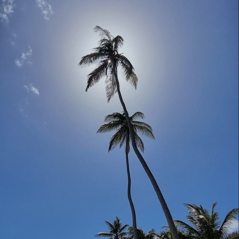 fotogallerie
