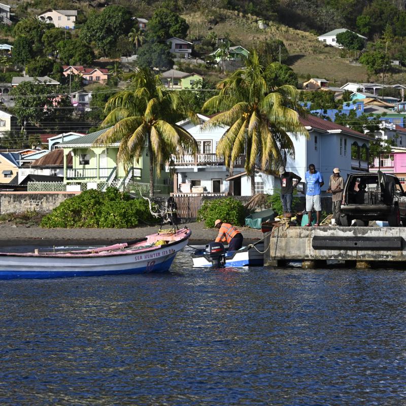 fotogallerie