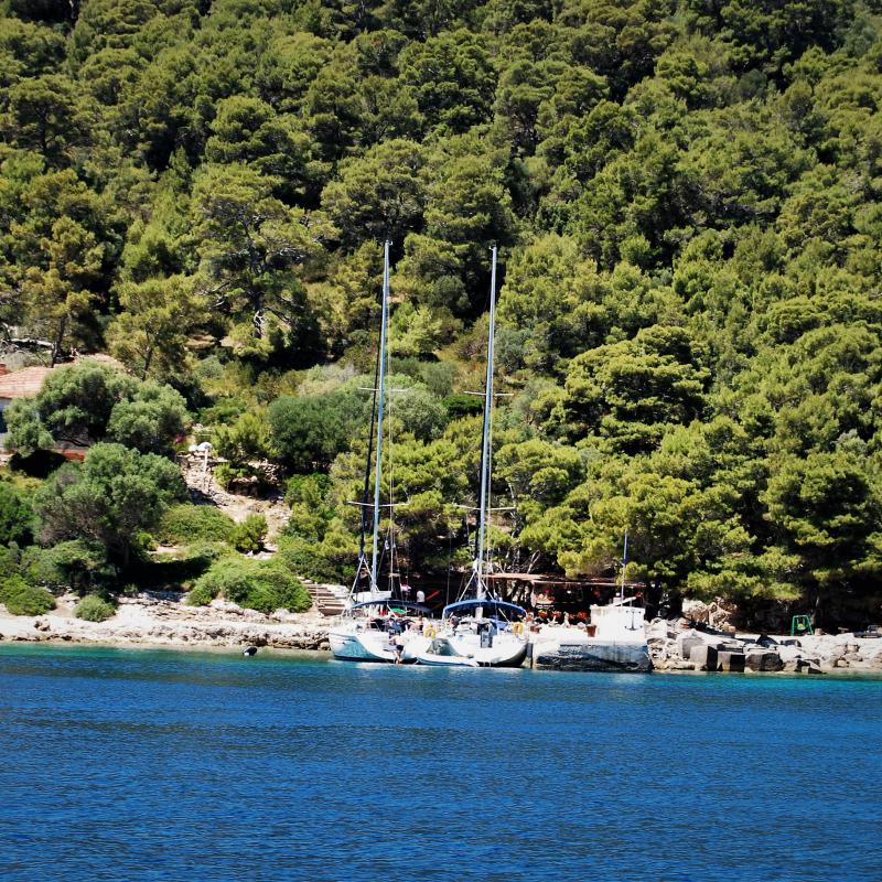 fotogallerie