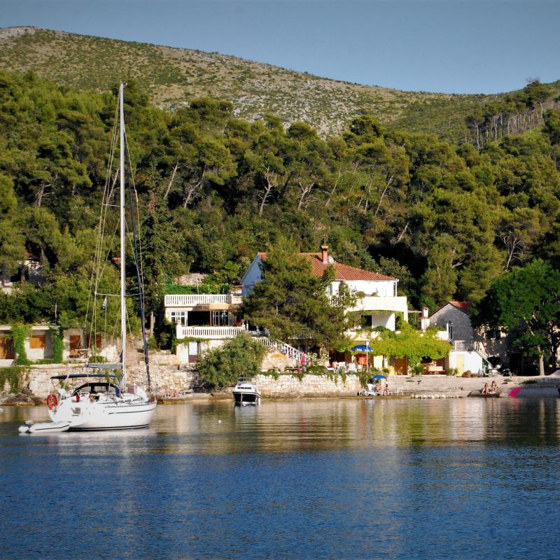 fotogallerie