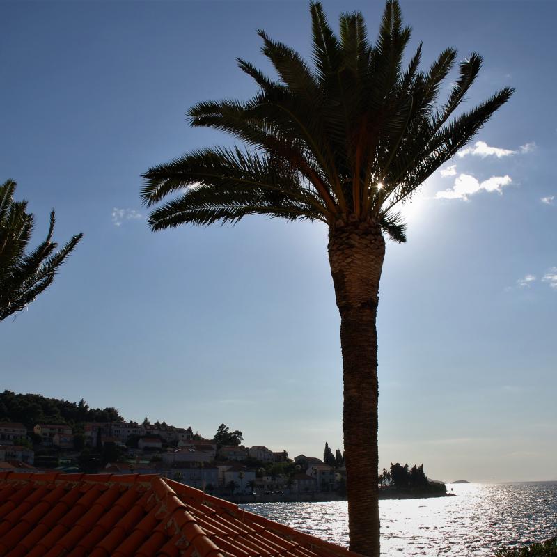 fotogallerie