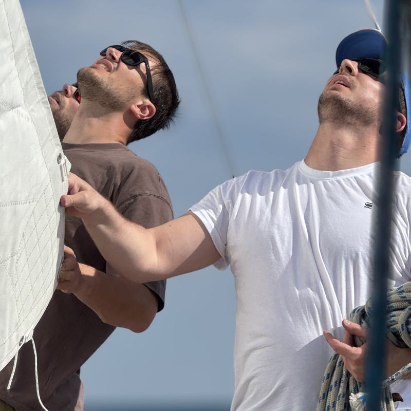 Bildergallerie Kühe, Klüver, Krängung – und ein schlagkräftiger Baum 