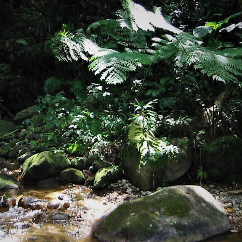 fotogallerie