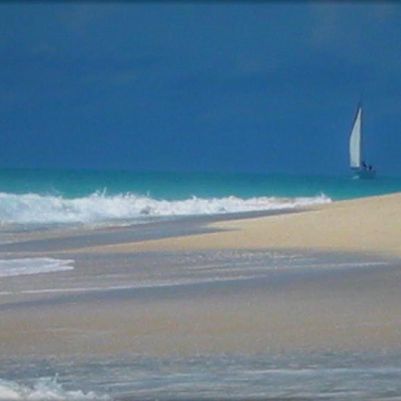 fotogallerie