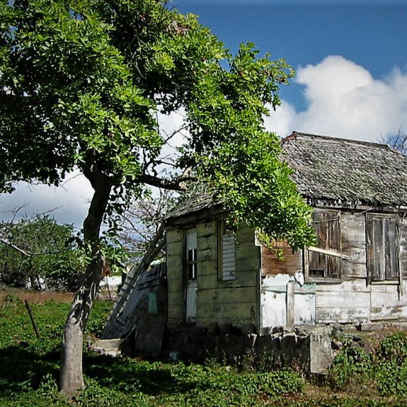 fotogallerie