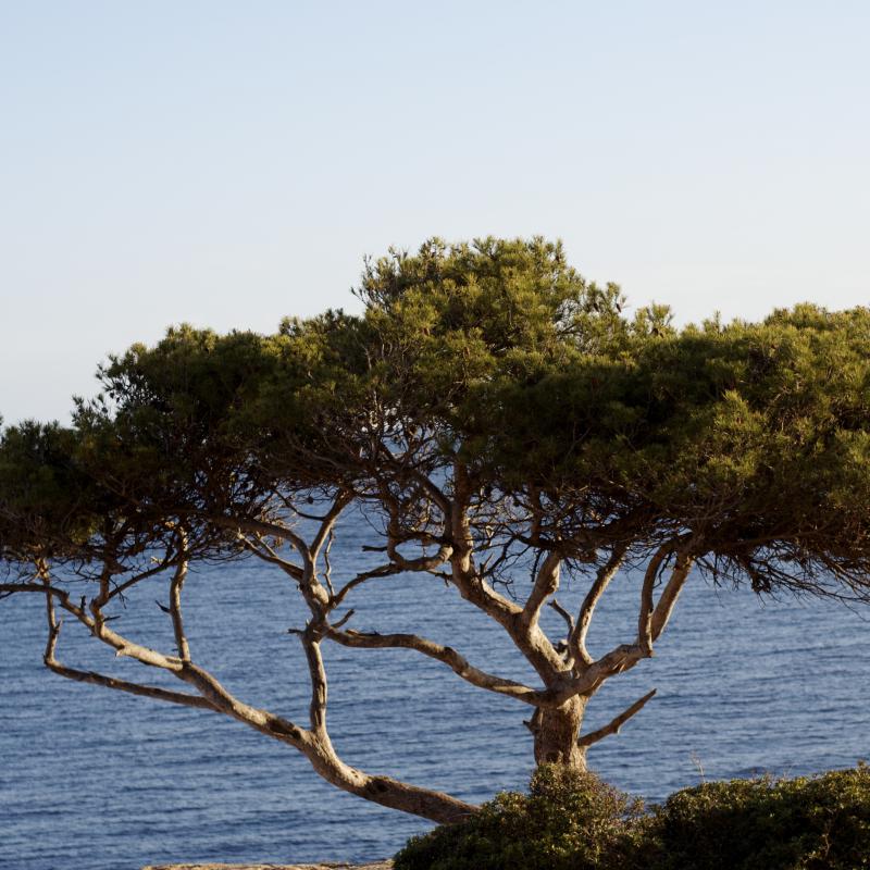 fotogallerie