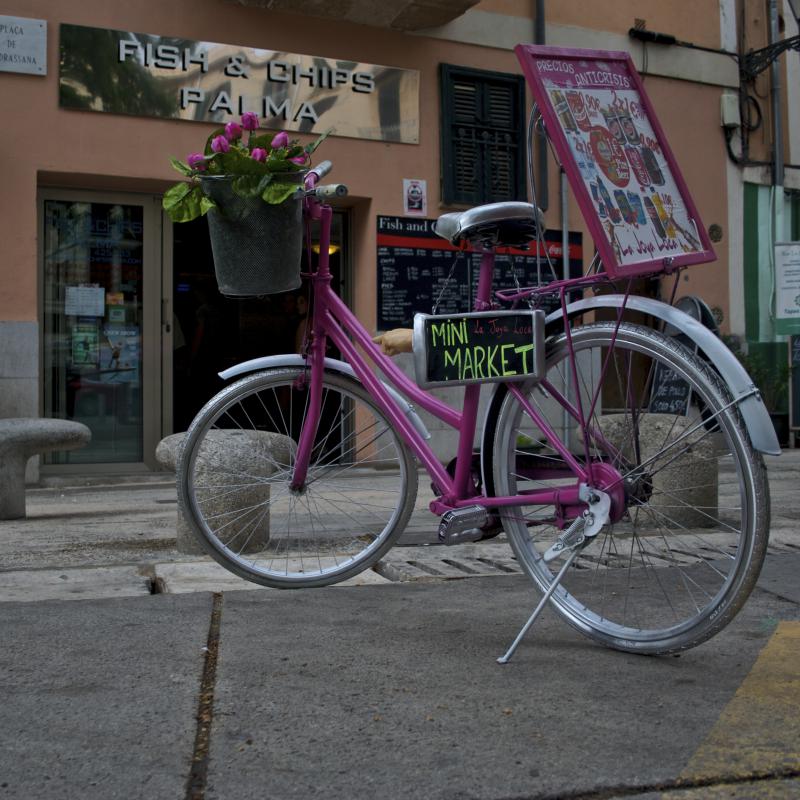 fotogallerie