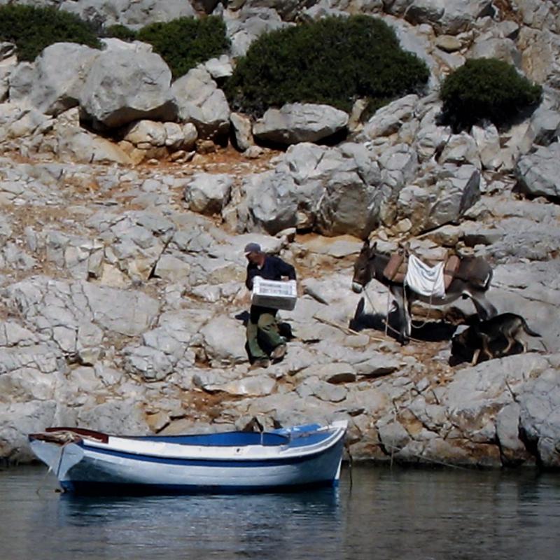 fotogallerie