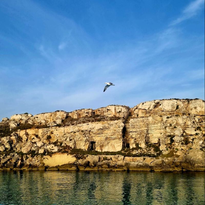 fotogallerie