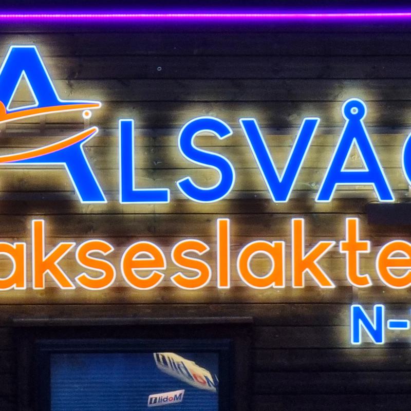 fotogallerie