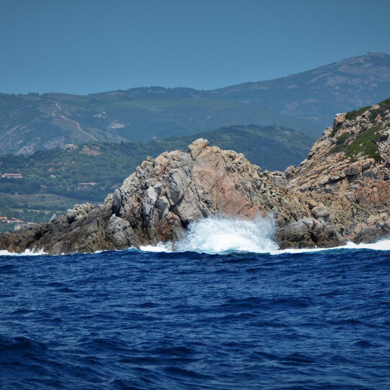 fotogallerie