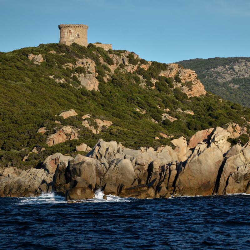 fotogallerie