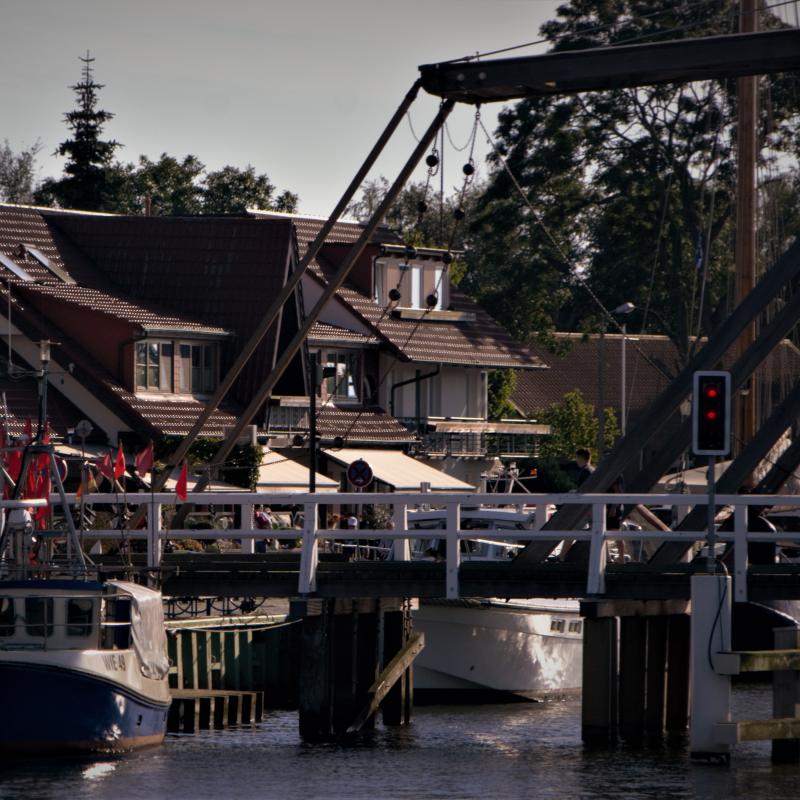 fotogallerie
