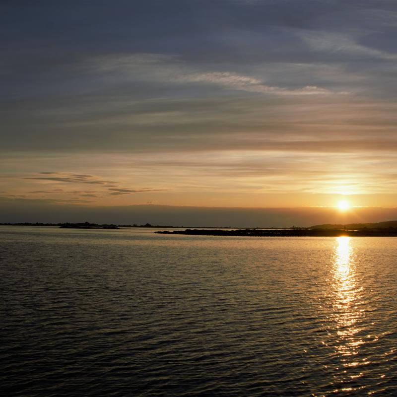 fotogallerie