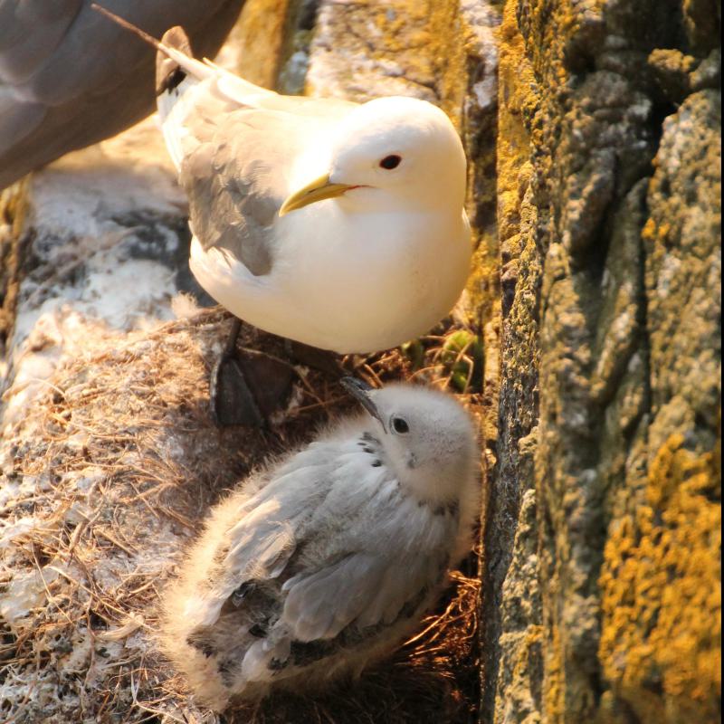 fotogallerie