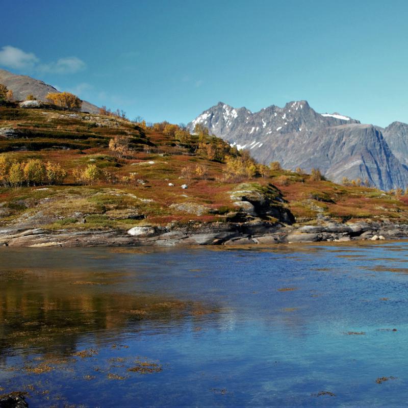 fotogallerie