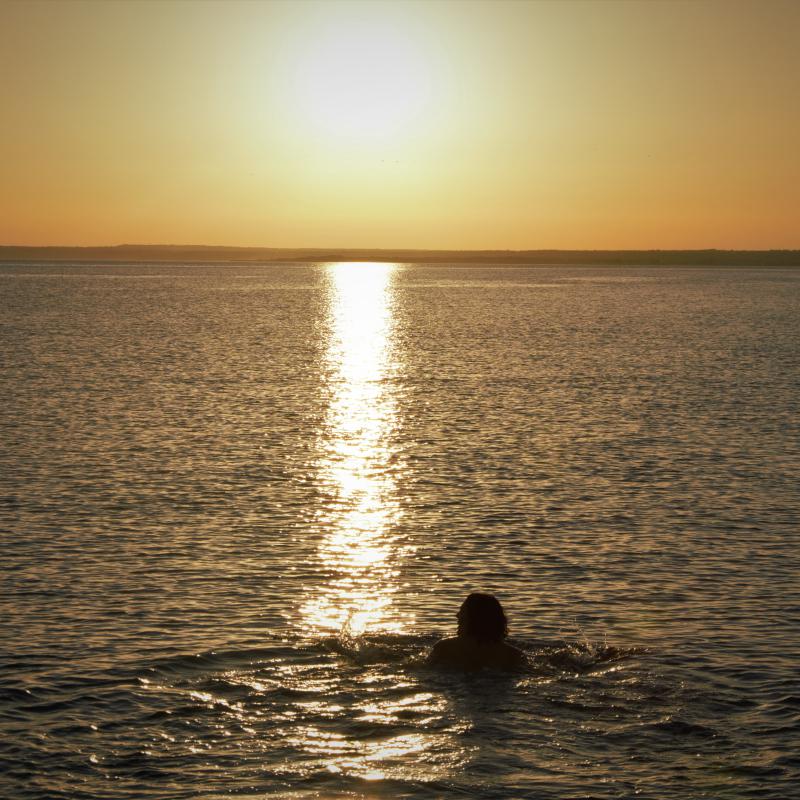 fotogallerie