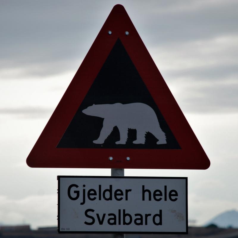 fotogallerie