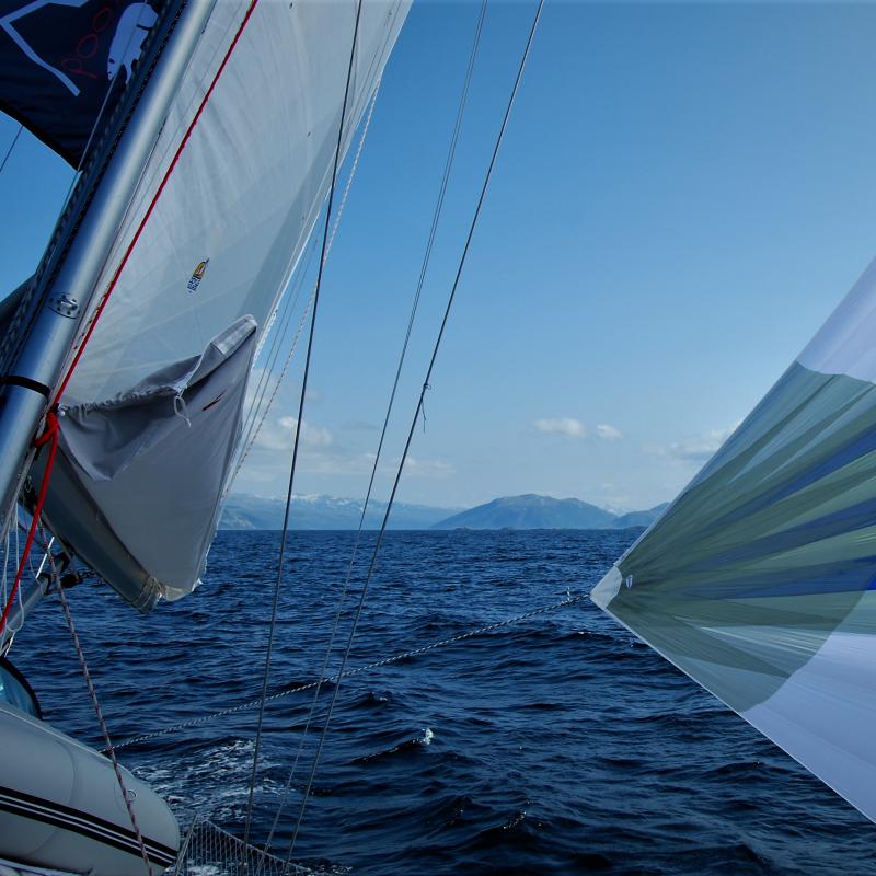 fotogallerie