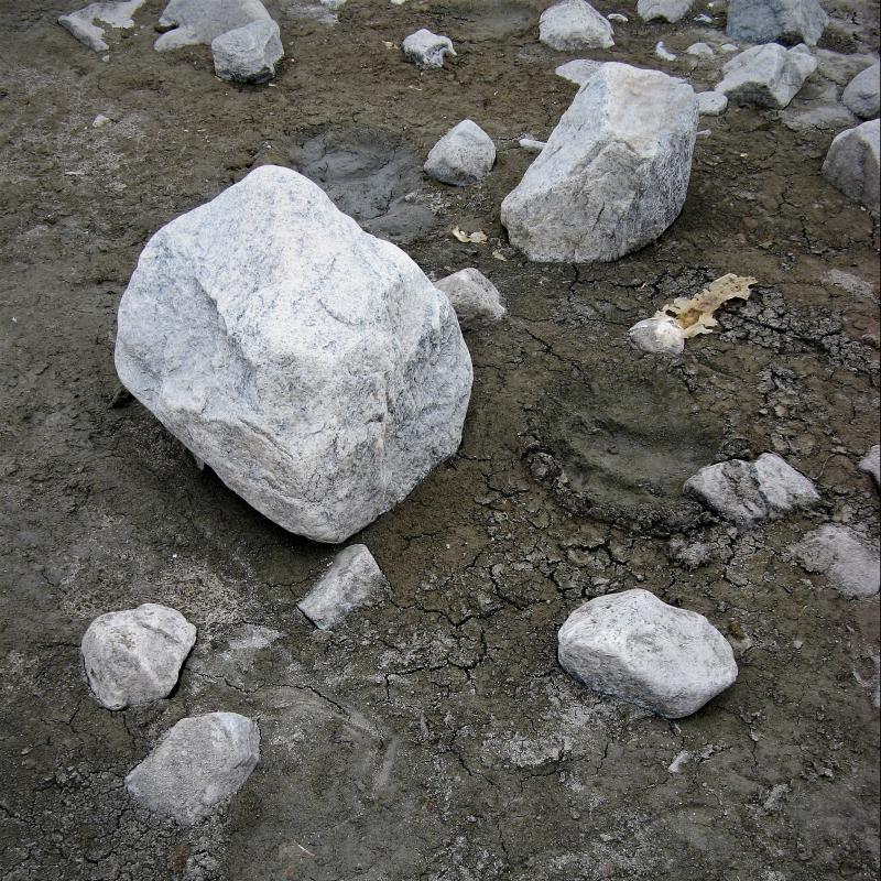 fotogallerie