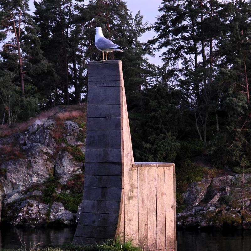 fotogallerie