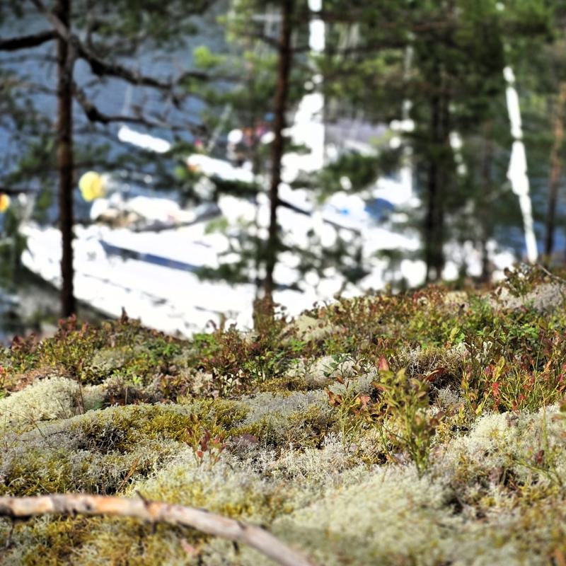 fotogallerie