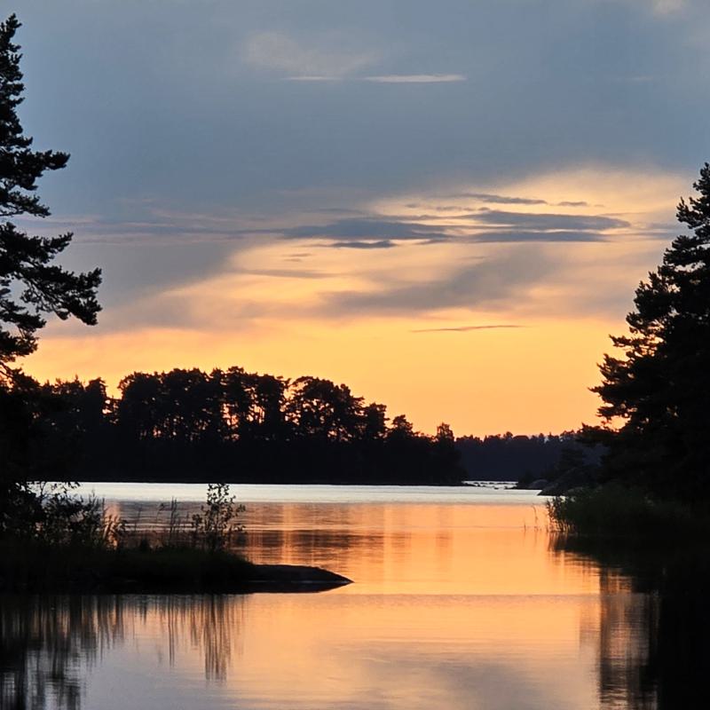 fotogallerie