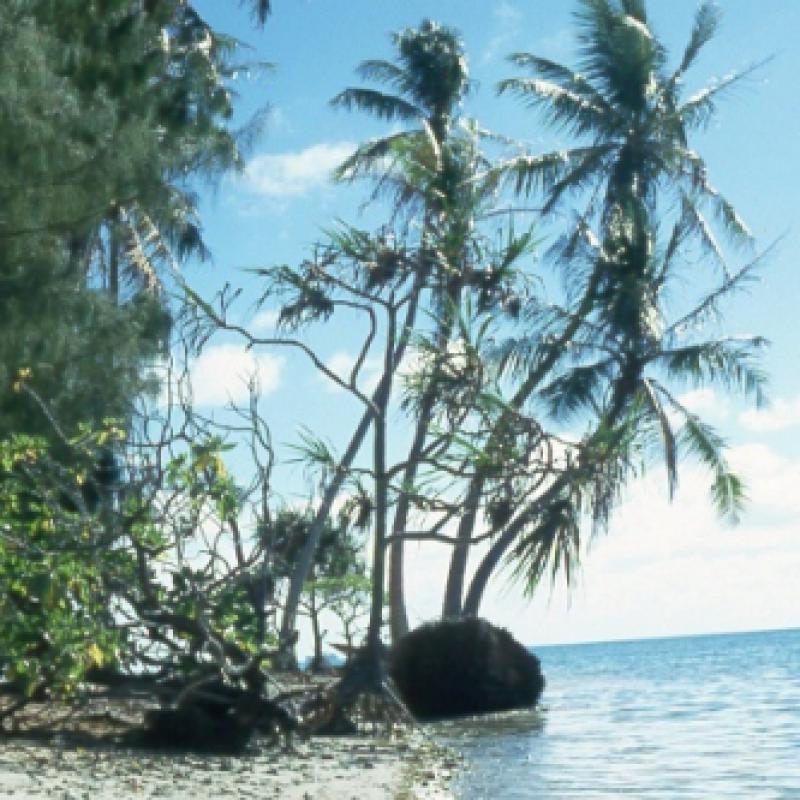fotogallerie