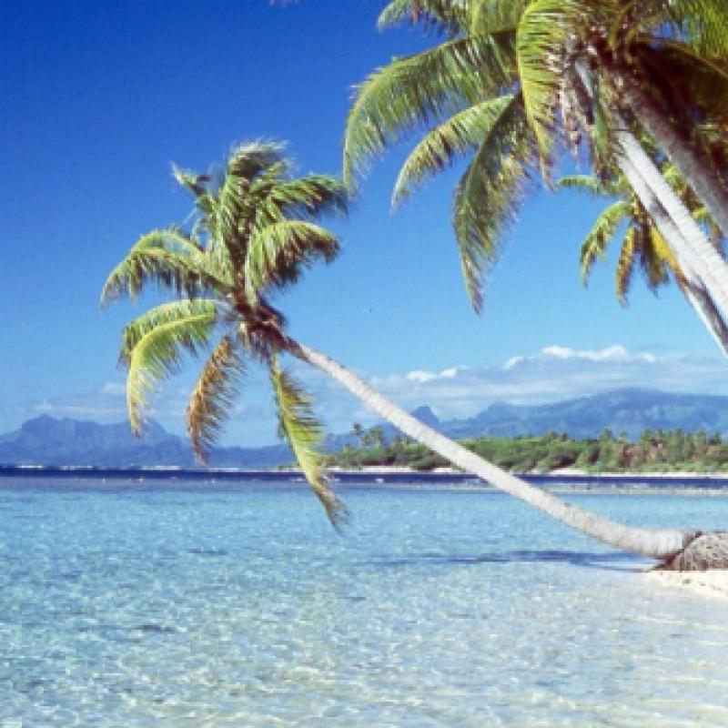 Bildergallerie Südsee Tahiti Bora Bora 1996