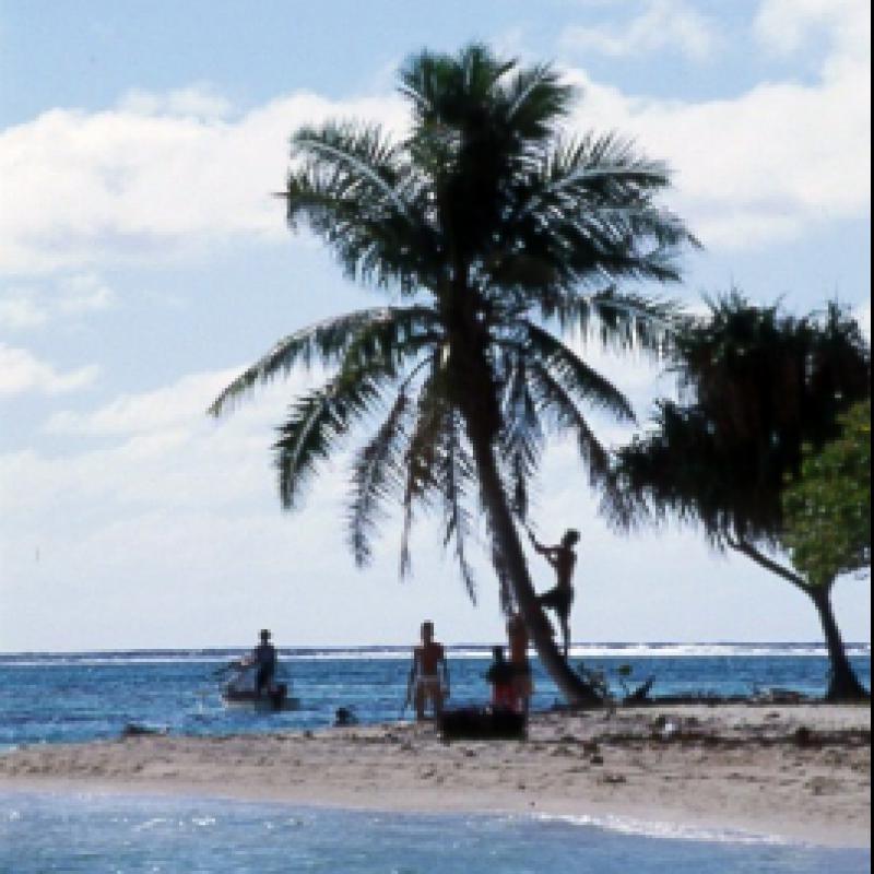 fotogallerie